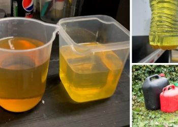 How To Recondition Old Gasoline