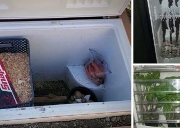 How To Use An Old Refrigerator For Survival