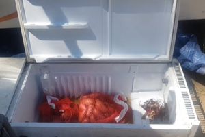 How To Use An Old Refrigerator For Survival