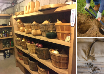 Prepping Projects From The Bible