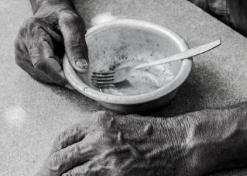 When The World Runs Out Of Food, This Is All You Need