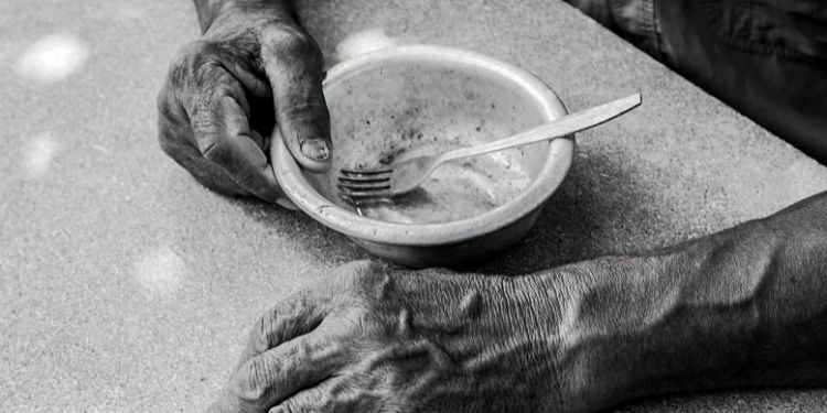 When The World Runs Out Of Food, This Is All You Need