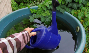 Why You Need To Hide Your Harvested Rainwater