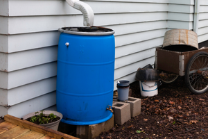 blue barrel