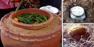 25+ Ways To Keep Food Cold Without Electricity