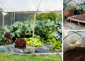 DIY Poor Man’s Greenhouse