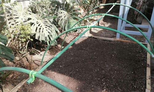 DIY Poor Man's Greenhouse