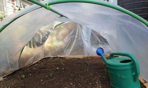 DIY Poor Man's Greenhouse