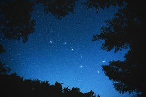 Essential Survival Know-Hows Modern People Have Forgotten