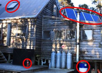 If You Have This On Your Property, Hide It Immediately