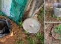 Why You Should Bury A Trash Can In Your Backyard