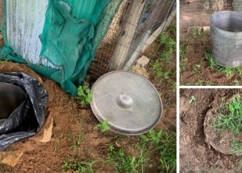 Why You Should Bury A Trash Can In Your Backyard