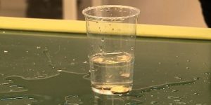 Why You Should Put A Silver Coin In Water