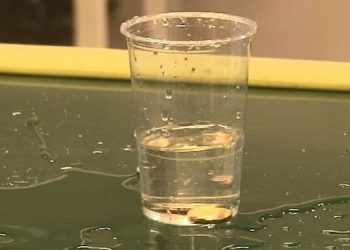 Why You Should Put A Silver Coin In Water