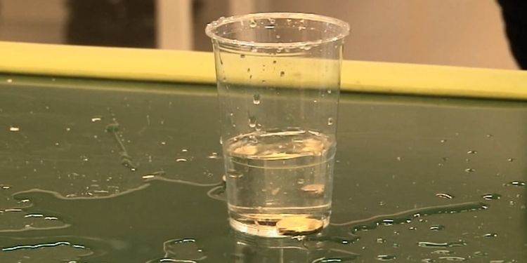 Why You Ought to Put A Silver Coin In Water
