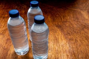 Why You Should Put A Silver Coin In Water