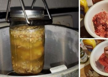 Long-Lasting Amish Burgers