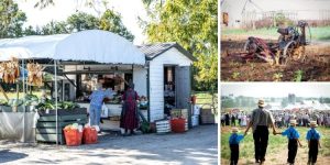 I Visited An Amish Farm And This Happened