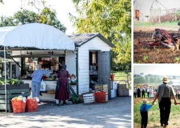 I Visited An Amish Farm And This Happened