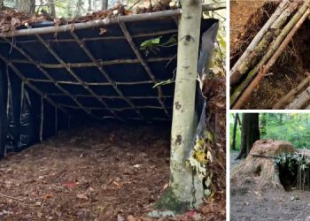 Primitive Ways To Build A Shelter