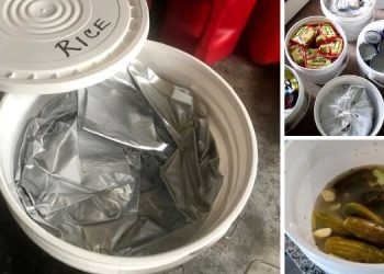 10 Myths About Storing Food In 5-Gallon Buckets