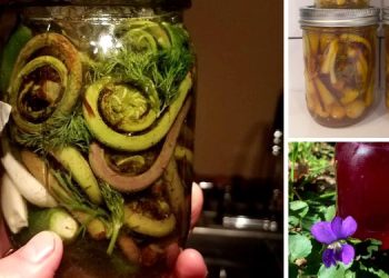 15+ Wild Edibles You Should Can This Spring