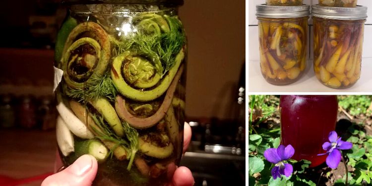 15+ Wild Edibles You Should Can This Spring