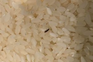 4 Prepper Mistakes That You Should Actually Make