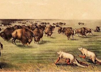 How The Native Americans Used To Hide In Plain Sight (6)