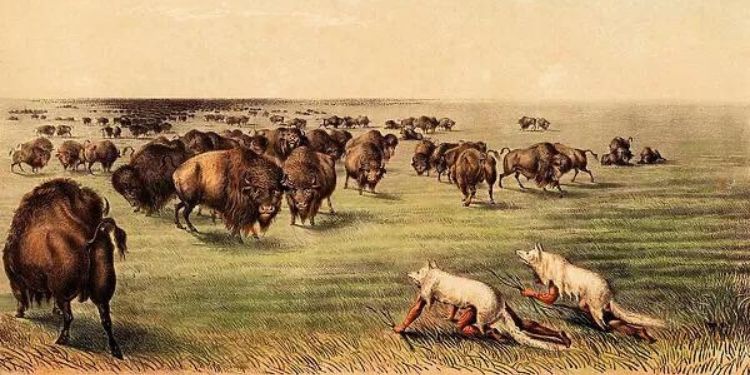 How The Native Americans Used To Hide In Plain Sight (6)