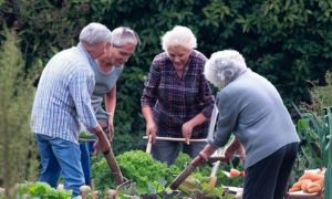 How To Start a Prepper Group In Your Community