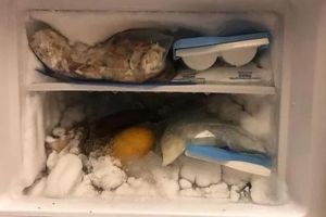 If You Have Been Storing Meat This Way, Stop Doing It Immediately
