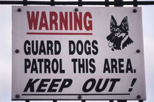 Looter Deterrents You Never Thought Of