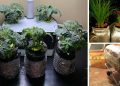 Highly Nutritious Foods You Can Grow In Mason Jars