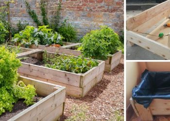 How To Build Self-Watering Raised Garden Beds