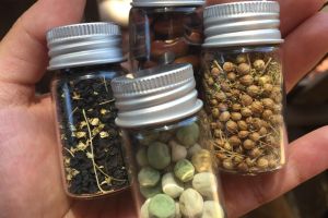 Best DIY Food Projects For When SHTF