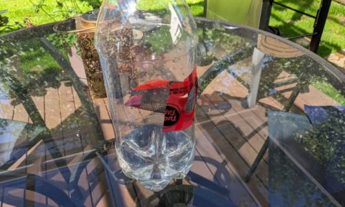 DIY Mosquito Trap