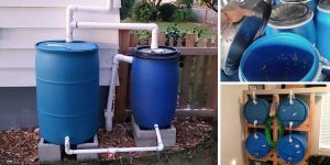 Read This Before Stockpiling Water In Blue Barrels