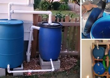 Read This Before Stockpiling Water In Blue Barrels