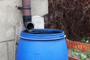 Read This Before Stockpiling Water In Blue Barrels
