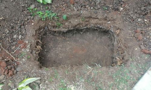 Root Cellar In A Box!