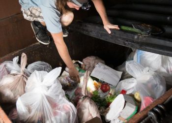 What No One Told You About Dumpster Diving