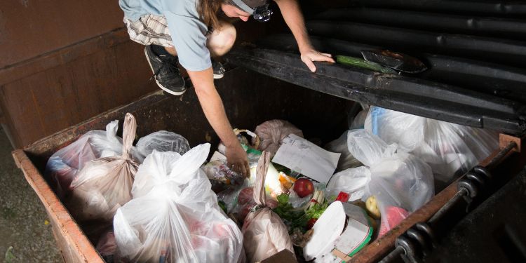 What No One Told You About Dumpster Diving