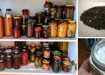 Add This To Your Stockpile To Increase Its Shelf Life