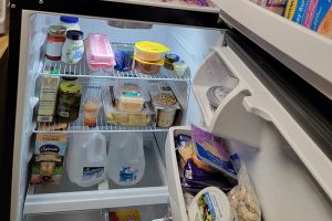 I Lived Without A Fridge For 5 Years