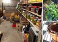 I Lived Without A Fridge For 5 Years