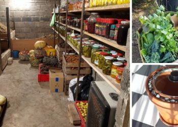 I Lived Without A Fridge For 5 Years