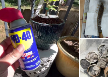 15 SHTF Uses for WD-40