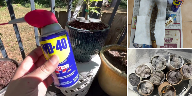 15 SHTF Uses for WD-40