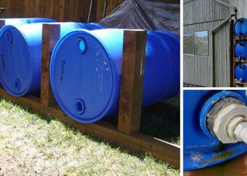 DIY Rainwater Harvesting System
